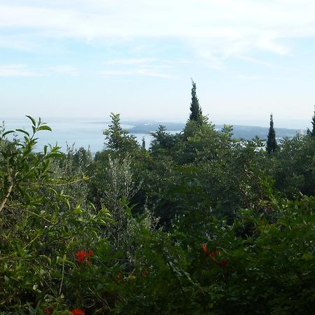 Ha Mar Ao Luar Hotell Setúbal Eksteriør bilde