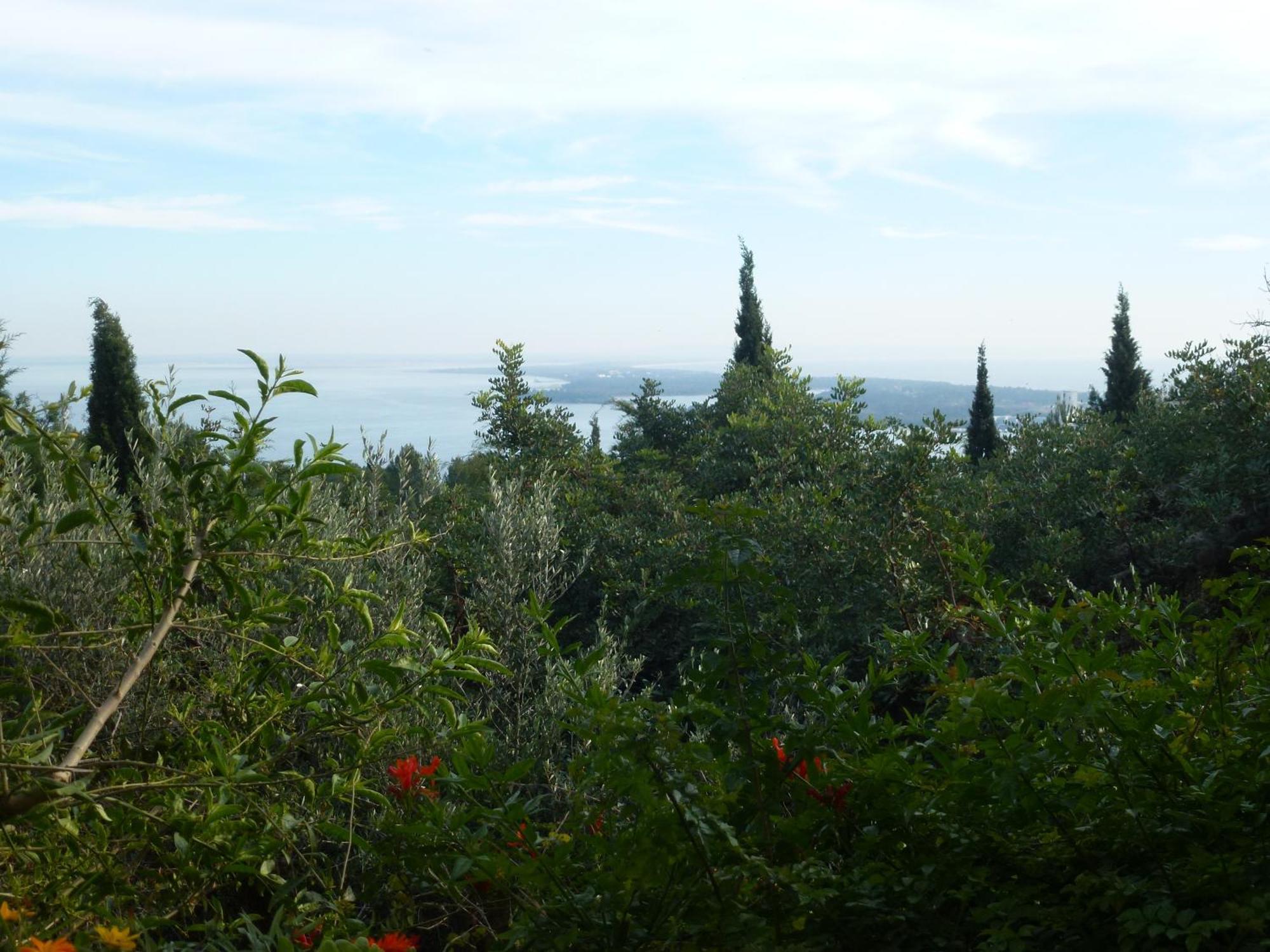 Ha Mar Ao Luar Hotell Setúbal Eksteriør bilde