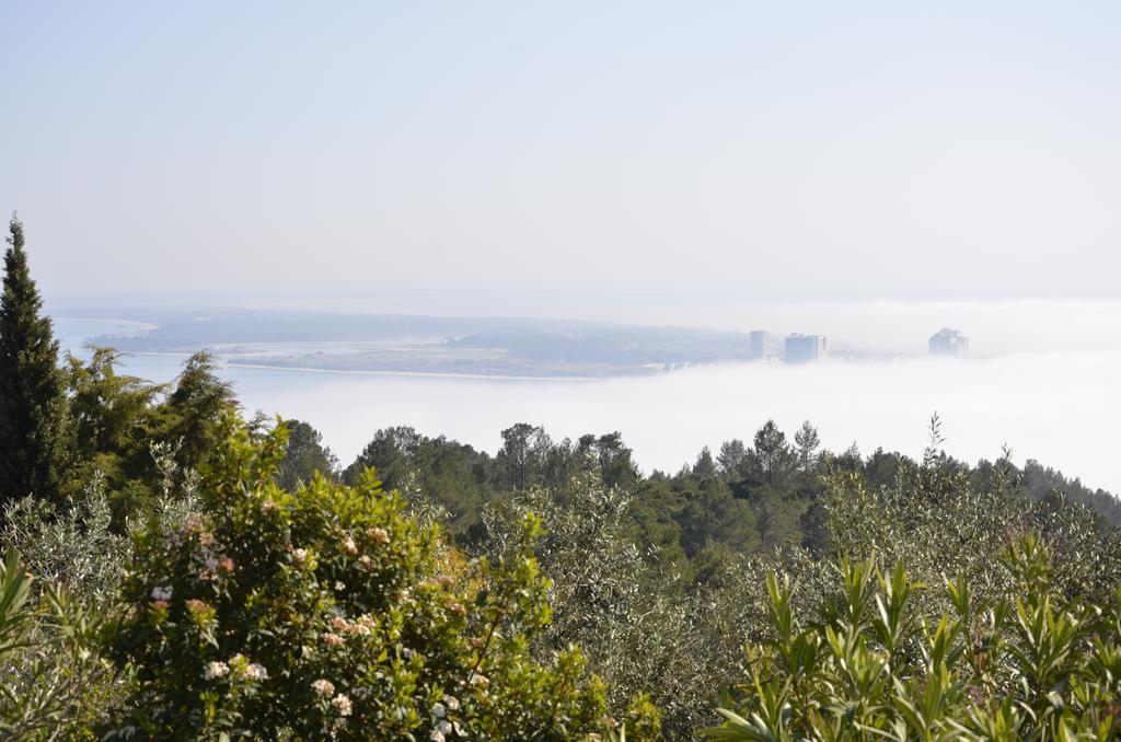 Ha Mar Ao Luar Hotell Setúbal Eksteriør bilde